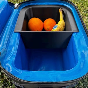 Puede incluir: Bolsa nevera negra y azul abierta con un compartimento interior negro. Dos naranjas y un pl&aacute;tano est&aacute;n dentro del compartimento. La nevera est&aacute; sobre hierba verde.