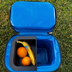 Puede incluir: Una nevera azul aislada abierta con un compartimento interior negro. Dentro del compartimento hay dos naranjas y un pl&aacute;tano. La nevera est&aacute; sobre un lecho de hierba verde.