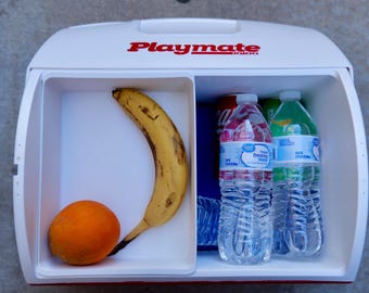 Cold Tray Insert for Igloo Playmate 16qt Lunch Cooler