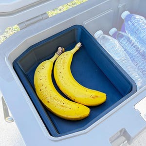 May include: A light gray hard-sided cooler with an open lid containing a dark blue rectangular plastic storage tray. Inside the tray are two yellow bananas with brown spots. To the right of the tray, three clear plastic water bottles are visible.