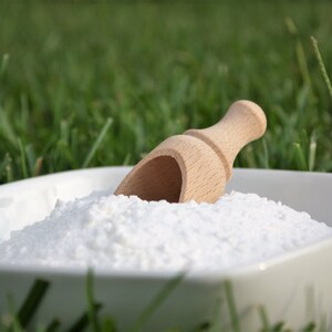 May include: A white square bowl filled with a white, powdery substance, with a small wooden scoop resting inside. The background is blurred green grass.