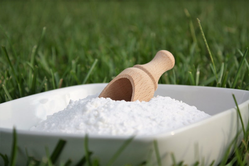 May include: A white square bowl filled with a white, powdery substance, with a small wooden scoop resting inside. The background is blurred green grass.