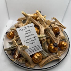 PUMPKIN STEMS - Dried/Cleaned - 2026 season - 3 individual stems - same price as last season.