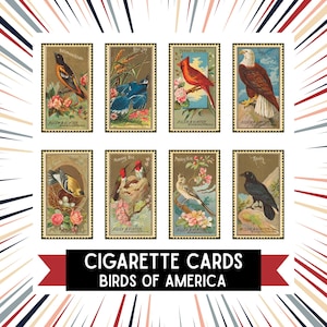 cigarette cards birds Cigarette Cards Bird