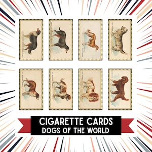 snort tobacco Is snuff really safer than smoking?