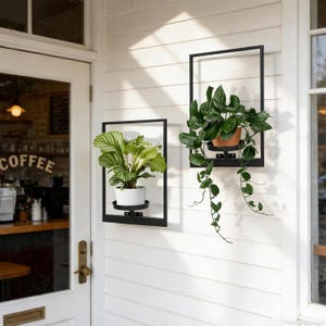 Könnte beinhalten: Zwei Wandpflanzgefäße mit schwarzem Metallrahmen und Topfpflanzen. Ein Pflanzgefäß enthält eine Pflanze mit grün-weiß gestreiften Blättern in einem weißen Topf. Das andere enthält eine Pflanze mit grünen Blättern in einem braunen Topf. Die Pflanzgefäße sind an einer weißen Wand montiert.