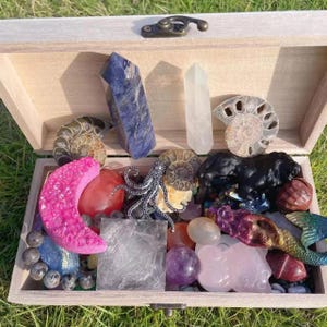 Op de afbeelding: Een houten kist gevuld met een verscheidenheid aan kristallen, fossielen en decoratieve objecten. De collectie bevat een groot roze kristal, een blauw kristal en verschillende ammonietfossielen. Andere items zijn een zwart panterbeeldje en een zilveren octopus.