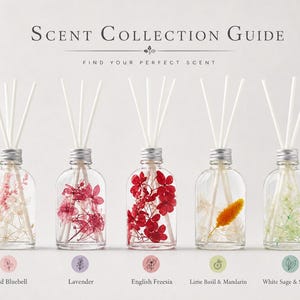 Puede incluir: Una guía de colección de aromas con cinco difusores de varillas de vidrio transparente con tapas plateadas y varillas blancas. Cada botella contiene diferentes flores o plantas secas. Texto: SCENT COLLECTION GUIDE, FIND YOUR PERFECT SCENT, Wild Bluebell, Lavender, English Freesia, Lime Basil & Mandarin, White Sage & Sea Salt.