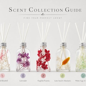 May include: A collection of five clear glass diffuser bottles with silver caps, each containing dried flowers and white reeds. The bottles are labeled with scent names: Wild Bluebell, Lavender, English Freesia, Lime Basil & Mandarin, and White Sage & Sea Salt.