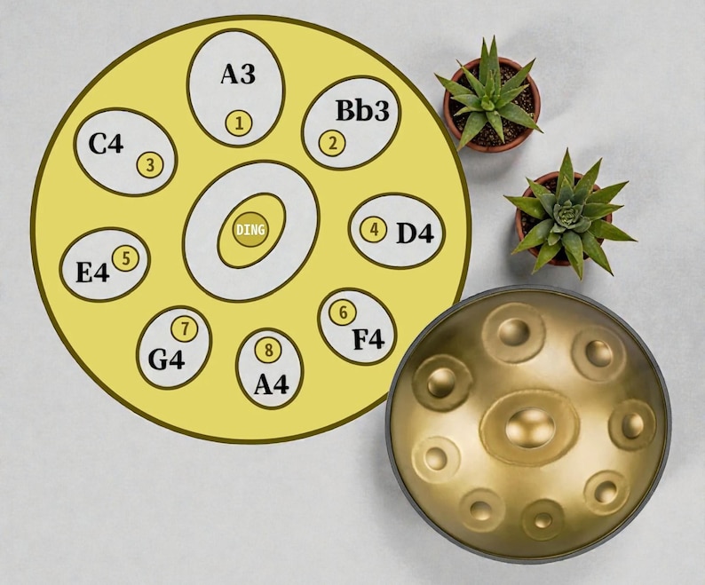 May include: A golden-colored handpan with a dark gray rim, next to a diagram of the instrument's notes. The diagram is yellow with white circles indicating notes like A3, Bb3, and D4. Two small potted succulents are also in the image.
