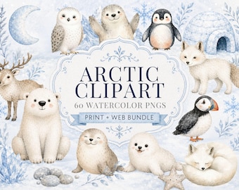 Paquete de imágenes prediseñadas del Ártico, 60 elementos PNG en acuarela, animales de invierno, uso comercial.