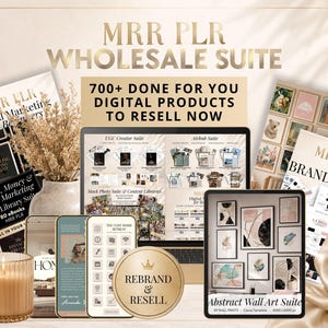 MRR PLR Bundle, Master Resell Rights Done For You, 700+ Templates Sell on Etsy