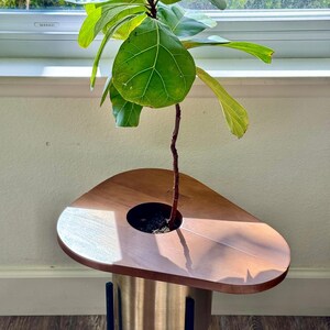 Magnetic Solid Wood Plant Stand, Planter Cover, Pet Protector, Wooden Plant Top Cover and Side Table Bild 4