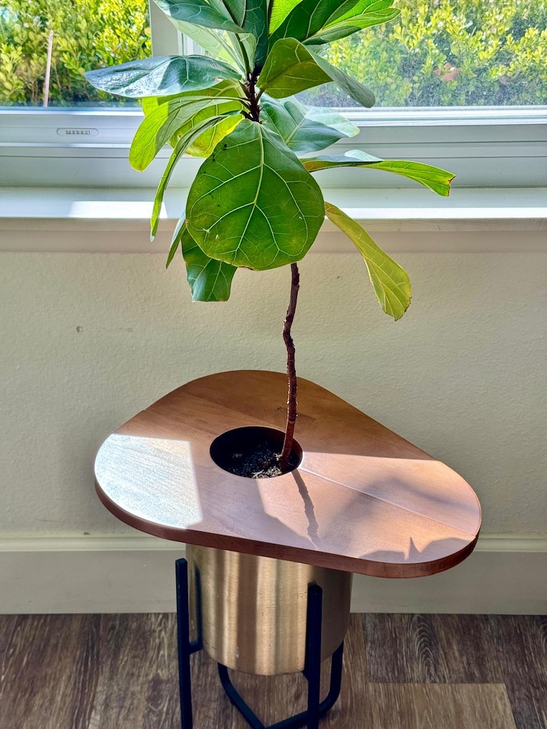 Magnetic Solid Wood Plant Stand, Planter Cover, Pet Protector, Wooden Plant Top Cover and Side Table Bild 4