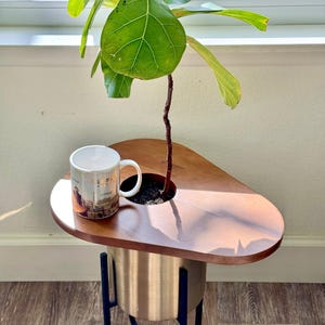 Magnetic Solid Wood Plant Stand, Planter Cover, Pet Protector, Wooden Plant Top Cover and Side Table Bild 9