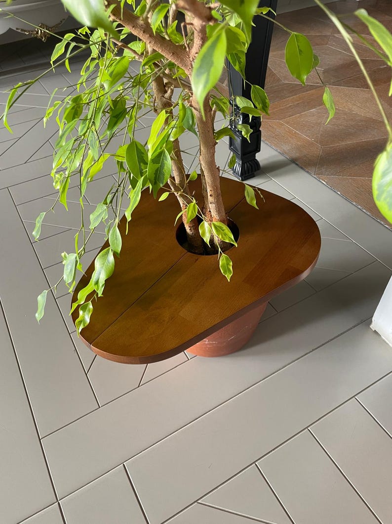 Magnetic Solid Wood Plant Stand, Planter Cover, Pet Protector, Wooden Plant Top Cover and Side Table Bild 14