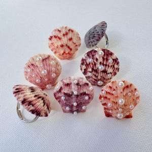 May include: A collection of seashell rings with adjustable silver bands. The shells are in shades of pink, red, and cream, adorned with small, white faux pearls. The rings are arranged on a white surface.