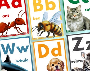 Preschool Alphabet Printable Flashcards PDF, ABC Cards with Fun Facts, Uppercase and Lowercase Letters