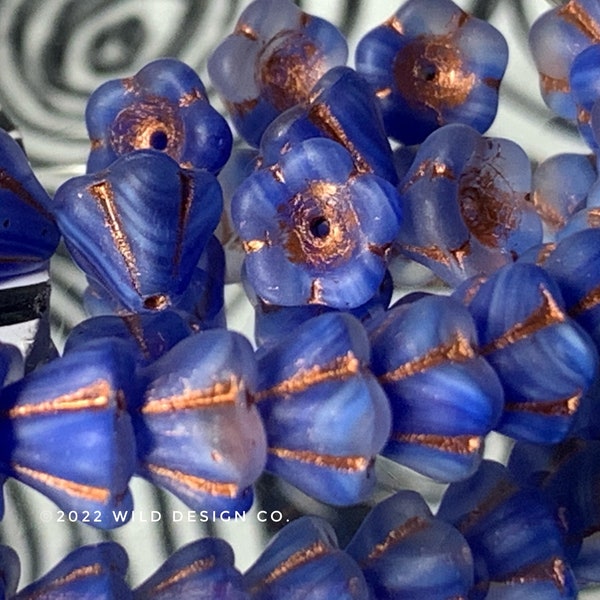 blue flower beads Bell flower Beads 8x6mm Czech Glass 5 petal 25pc blue and copper bellflower