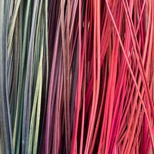 Puede incluir: Primer plano de un manojo de tallos de plantas secas de colores. Los tallos están dispuestos verticalmente, mostrando un degradado de colores que va del verde al morado y al rojo. La textura parece seca y natural, lo que sugiere un artículo decorativo o artesanal.