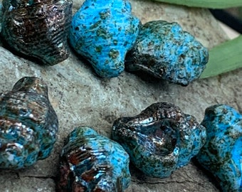 May include: A collection of small, blue and brown seashells with a speckled, iridescent finish. The shells are arranged on a rough, gray surface.
