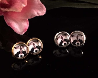 Pendientes de mapache Mapache Amante Regalo Vida Silvestre Rehabber Regalo