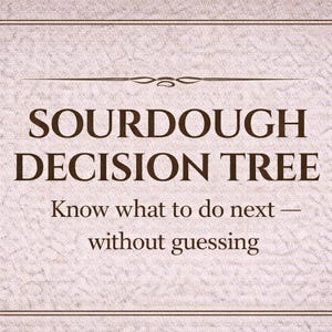 May include: A beige graphic with the words "SOURDOUGH DECISION TREE" in a dark brown serif font. Below, the text reads "Know what to do next — without guessing." The design is framed with a decorative border.