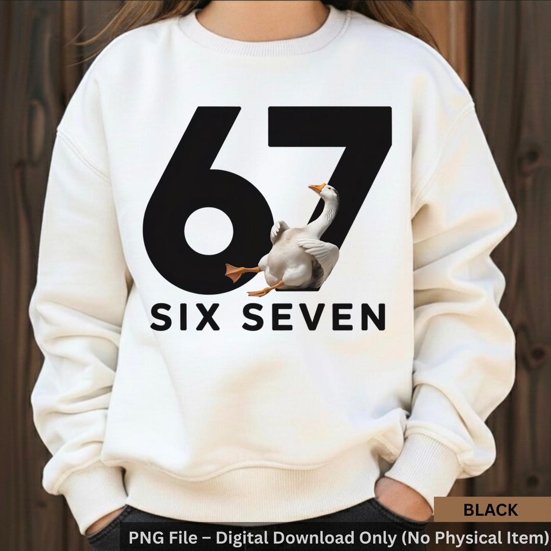 Funny Goose 67 PNG, Six Seven Meme Design, Viral Number Goose Shirt ...