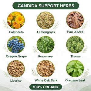 May include: A chart titled CANDIDA SUPPORT HERBS featuring nine circular images of organic ingredients: yellow calendula flowers, dried lemongrass, brown Pau D'Arco bark, blue Oregon grapes, green rosemary, thyme, licorice root, white oak bark, and oregano leaves.