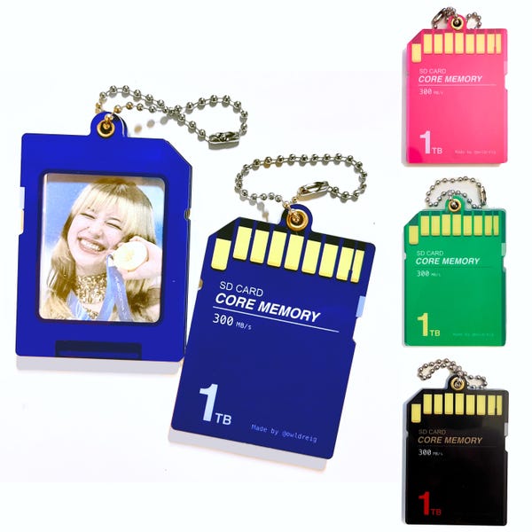 SD Card Mini Picture Holder