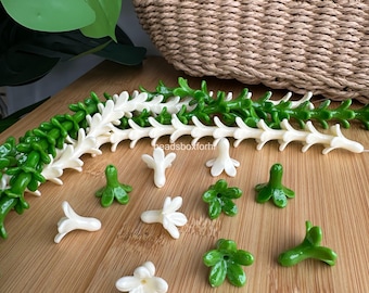18x19 mm Hawaiian Pakalana Flower Beads, Resin & Coral Powder Ivory/Green Pakalana Beads, Hawaii Lei Beads, Purse Lei / Car Lei Making, HK34