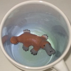 Könnte beinhalten: Eine weiße Keramik-Tasse mit hellblauem Innenraum. Eine braune und graue Schnabeltier-Figur liegt in der Tasse. Die Tasse wird von oben betrachtet, wobei das Schnabeltier und das Innere der Tasse zu sehen sind.