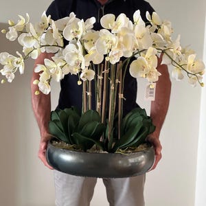 May include: A large artificial orchid arrangement featuring multiple stems of cream-coloured flowers with yellow centres. The orchids are supported by thin bamboo stakes and set in a dark metallic, bowl-shaped planter with green leaves.