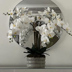 May include: A display of white orchids in a grey, ribbed ceramic pot. The flowers are in full bloom, with green stems and leaves. A circular mirror is in the background, reflecting the arrangement. The theme is home decor.