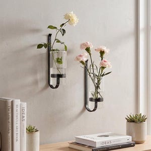 Peut inclure: Deux vases muraux en verre avec des supports en métal noir, chacun contenant des fleurs fraîches. L'un des vases contient une rose blanche, l'autre des œillets roses. Les vases sont fixés sur un mur gris clair, avec des livres et une plante succulente sur une surface en bois.