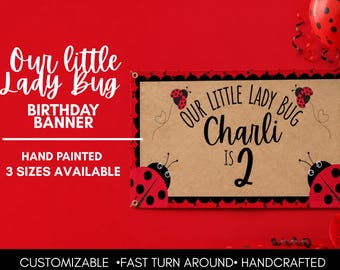 Guirnalda de cumpleaños personalizada con mariquita pintada a mano / Decoración personalizada con nombre y edad