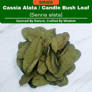 Puede incluir: Hojas secas de Cassia Alata / Candle Bush (Senna alata). Un montón de hojas verdes secas con una superficie texturizada. La imagen incluye el texto "Sourced By Nature, Crafted By Wisdom."