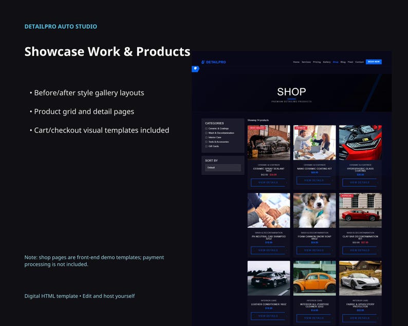 DetailPro website template slide showing gallery and shop demo layouts, before-after style galleries, product grid pages, and cart or checkout visual templates.