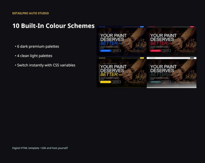 DetailPro website template slide showing 10 built-in colour schemes with dark premium palettes, clean light palettes, and CSS variable customisation.
