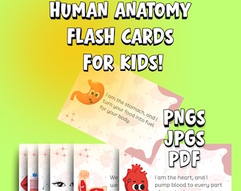 Anatomie Bildkarten für Kinder