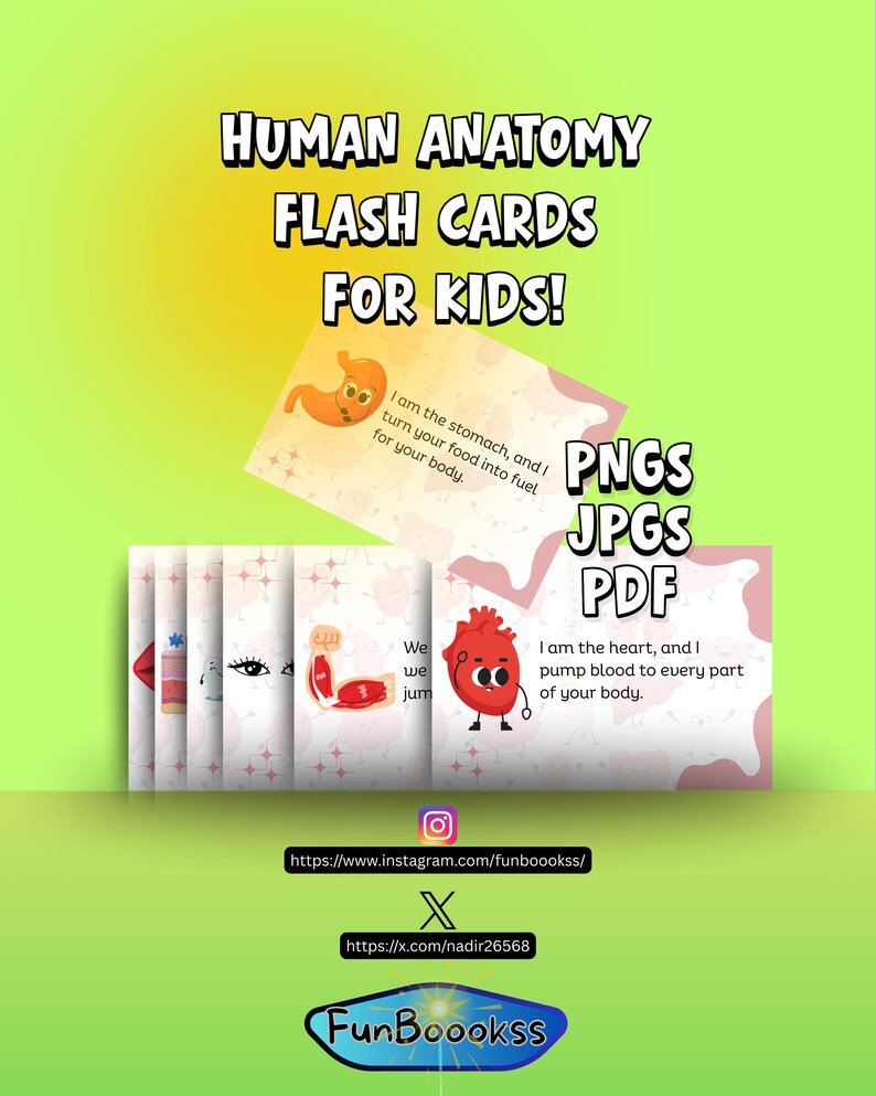 Anatomy Flashcards for Kids - Etsy