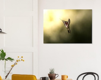 Ruby Throated Hummingbird Photography Print | Bird Wall Art | Wildlife Photography | Nature Decor | Bird Lover Gift
