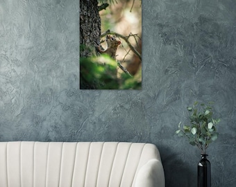 Squirrel Climbing Tree Photography Print | Wildlife Wall Art | Woodland Animal Photography | Nature Decor | Fine Art Print