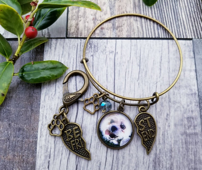 Personalized Matching Pet and Owner Gift Pet Photo Charm Etsy