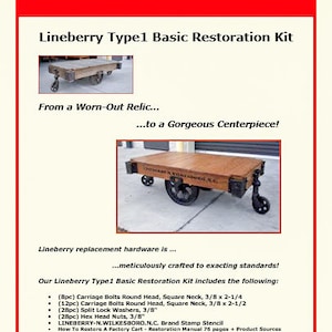 Lineberry Type1 Basic Restoration Kit
