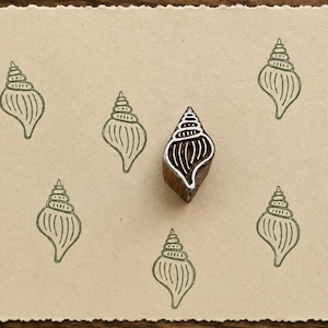 Whelk Shell