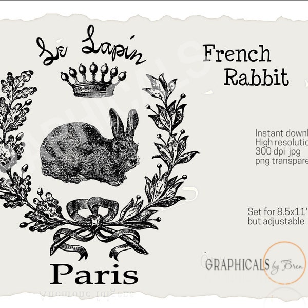 French Rabbit Etsy