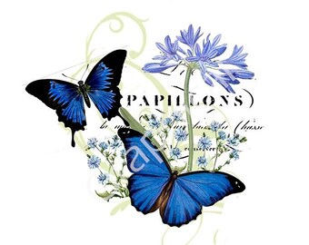 Blue butterfly French papillon printable digital download image 4141