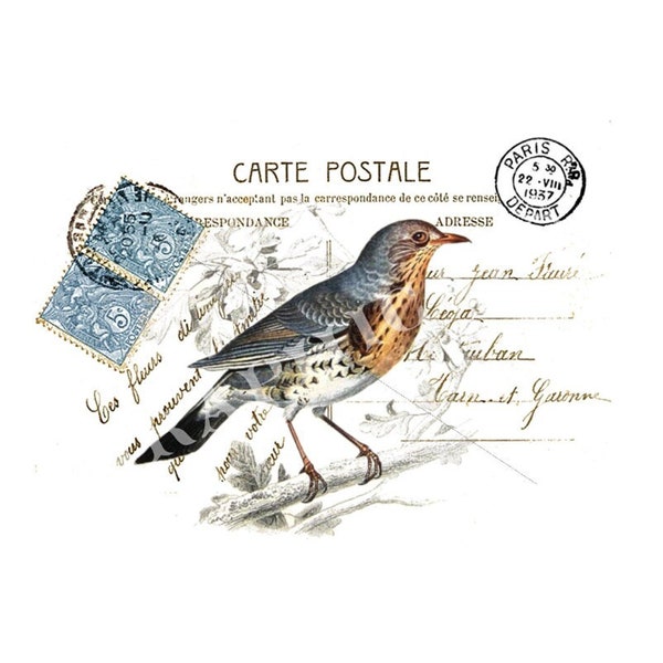 Paris bird printable art, Carte Postale digital download image for crafts, commercial use, iron on transfer to fabric, pillow, burlap  618