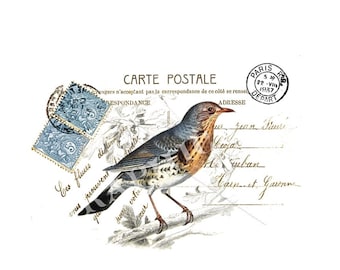 Paris bird printable art, Carte Postale digital download image for crafts, commercial use, iron on transfer to fabric, pillow, burlap  618